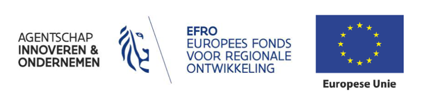 Logo EFRO met Europese vlag
